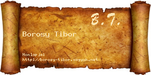 Borosy Tibor névjegykártya